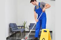 Golden Lion Cleaning Services image 12